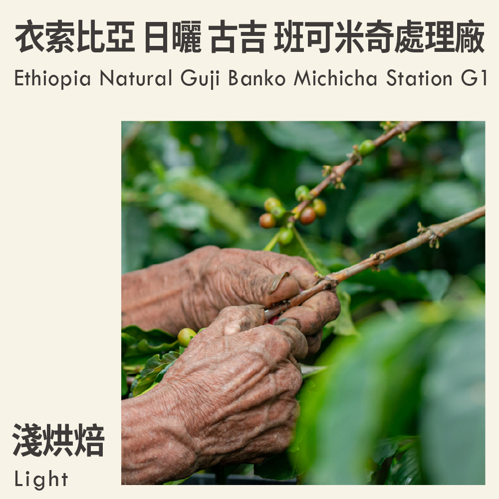 衣索比亞 日曬 古吉 班可米奇處理廠 G1