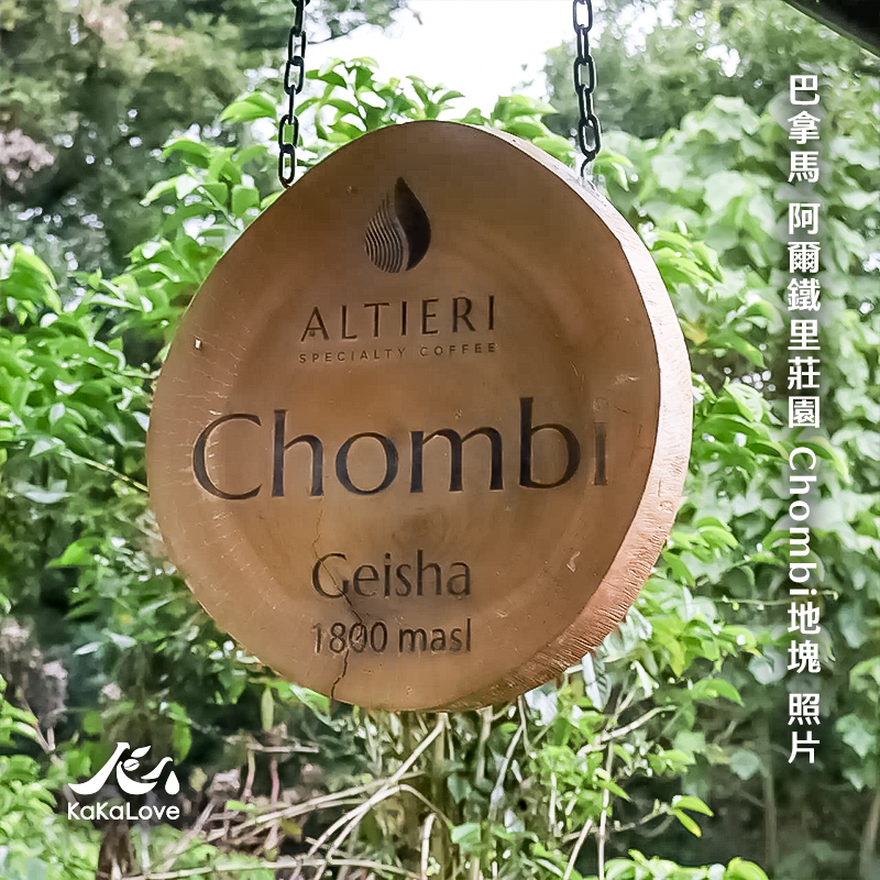 巴拿馬 低溫乾式發酵日曬 阿爾鐵里莊園 藝伎 Chombi地塊  20g