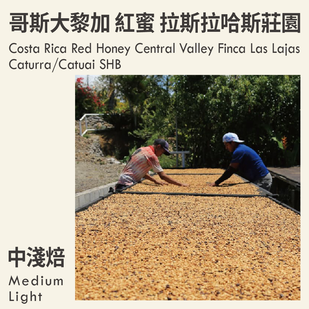哥斯大黎加 紅蜜 中央谷地 拉斯拉哈斯莊園 卡杜拉/卡杜艾 SHB