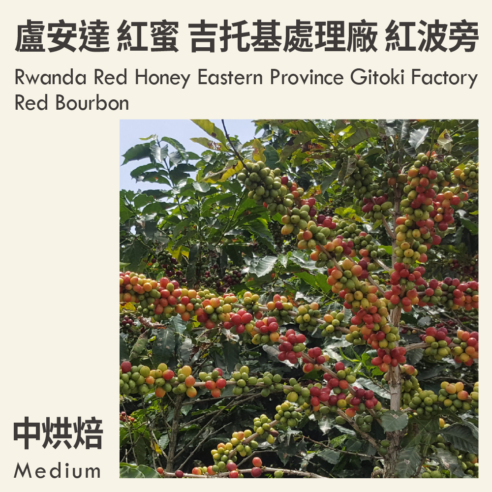 盧安達 紅蜜 東部省 吉托基處理廠 紅波旁