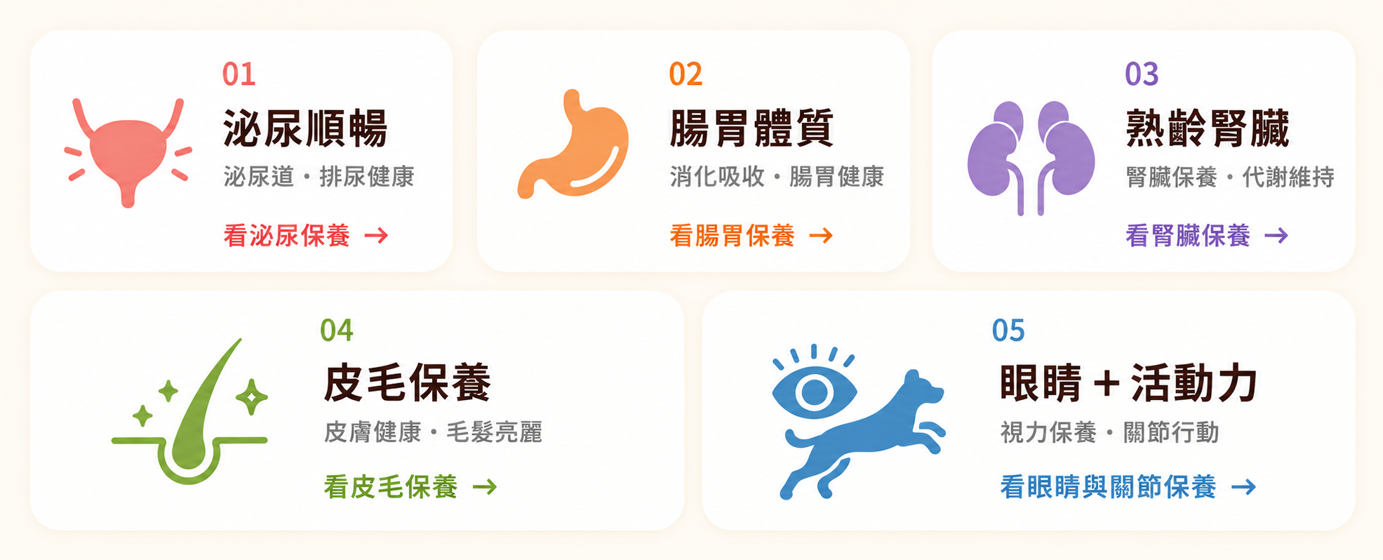貓咪五大健康保養指南