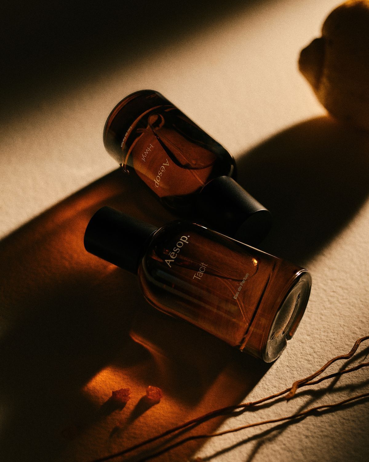 秋冬香水推薦｜暖香木質調選香指南 Asa Perfume