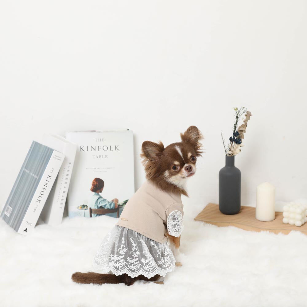 【Moncheri】Docking Lace Skirt Dress
