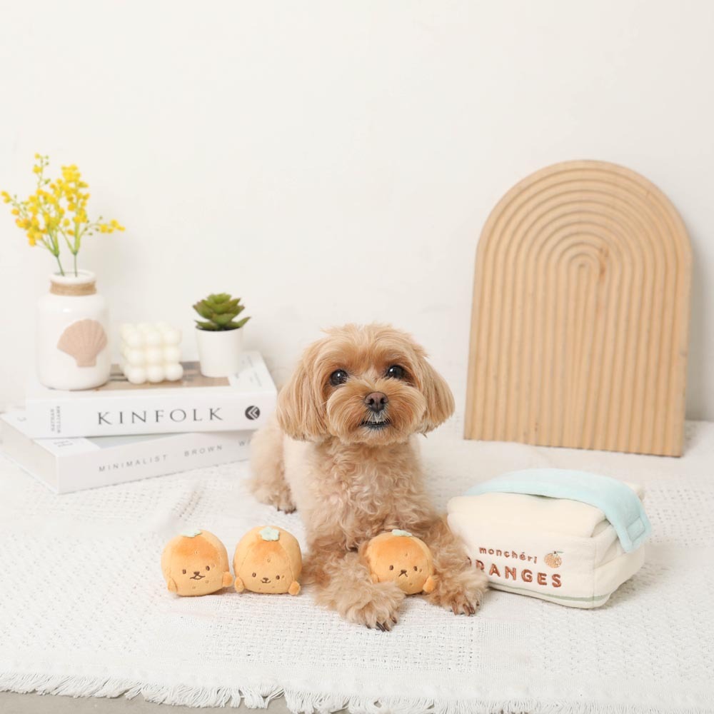 【Moncheri】Cardboard Mandarin Nosework Toy Set