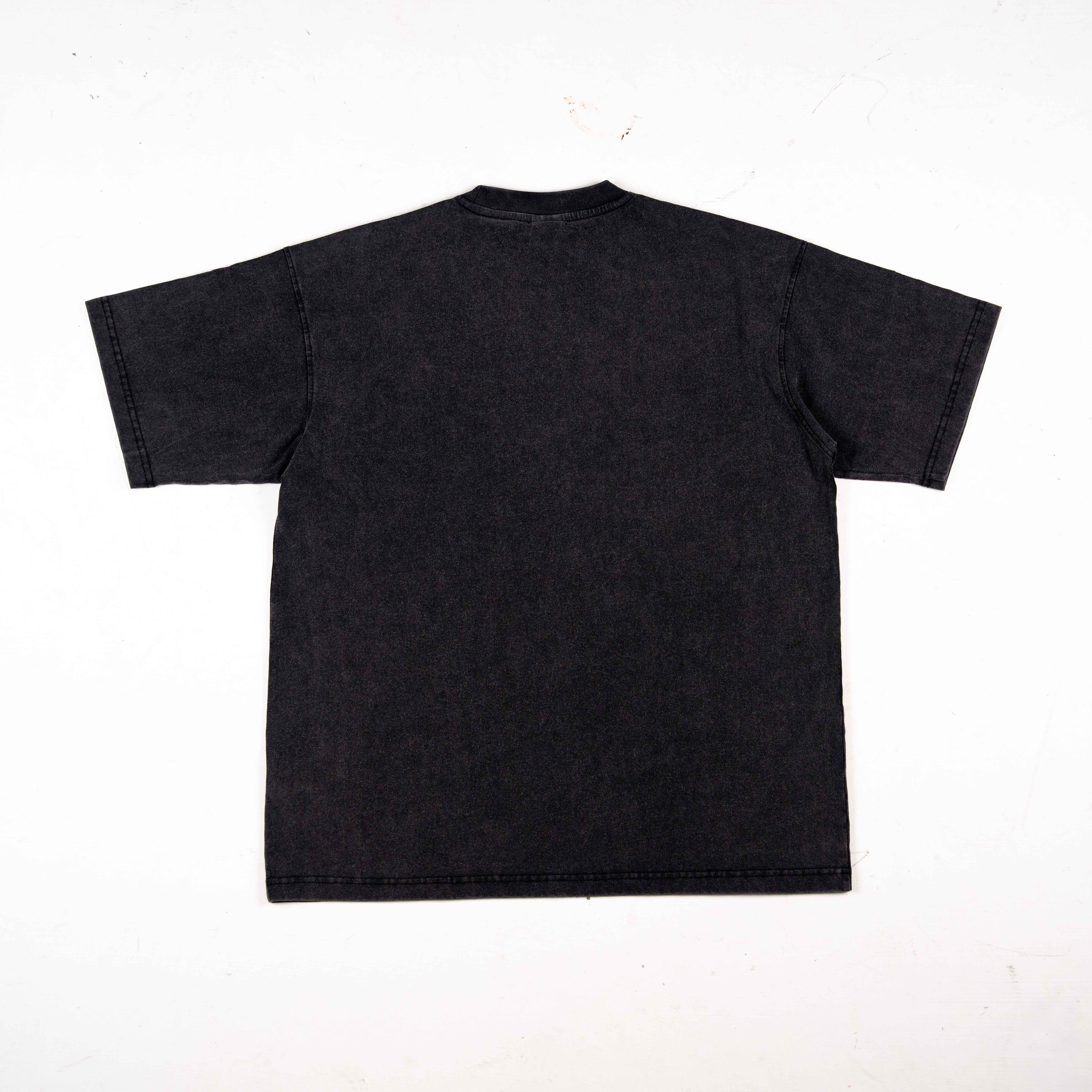 EMC SL63 Washed Tee