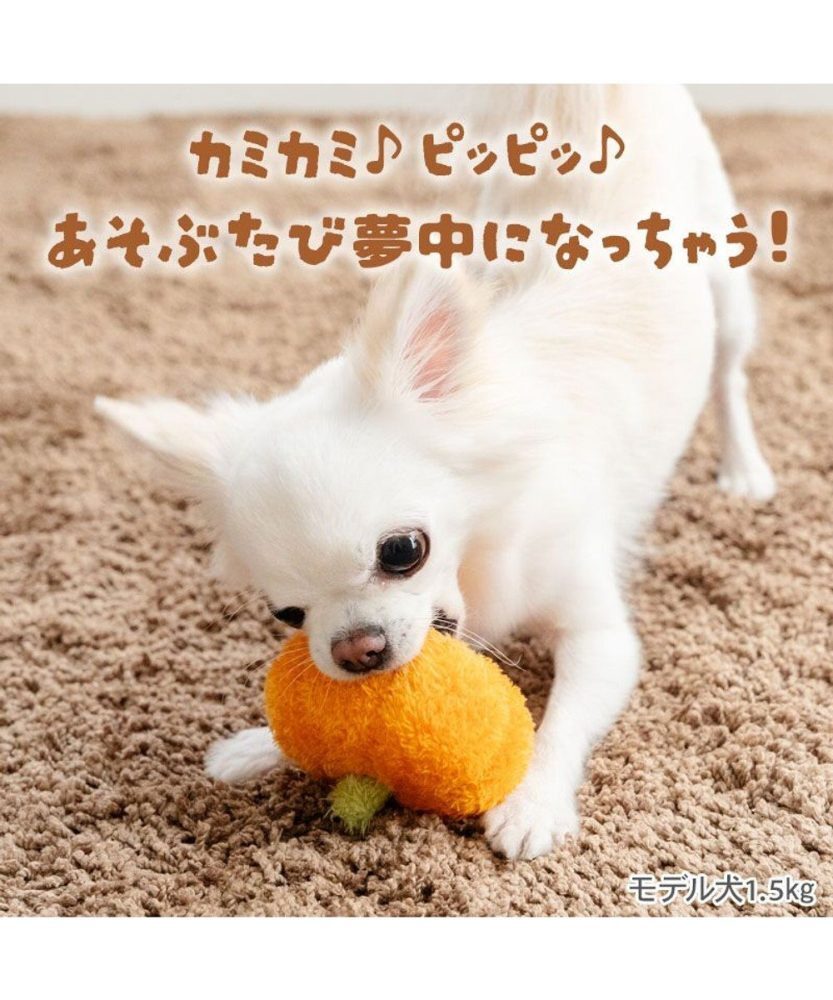【Pet Paradise】Pumpkin Ball Toy <156-43505>