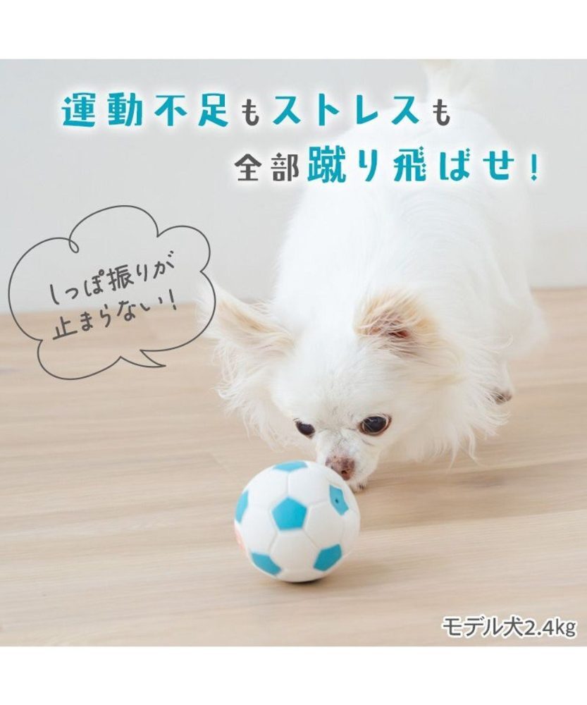 【Pet Paradise】Football Toy with Carry Net <758-43506>