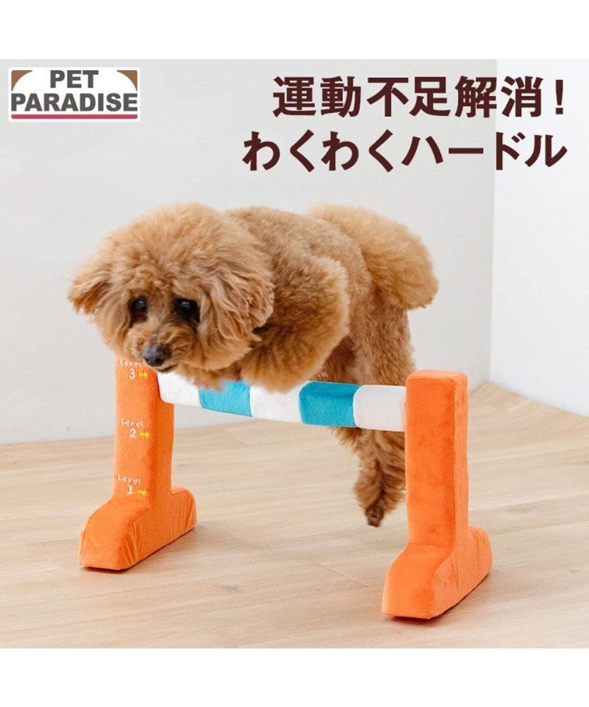 【Pet Paradise】Fun Hurdle Toy <361-43379>