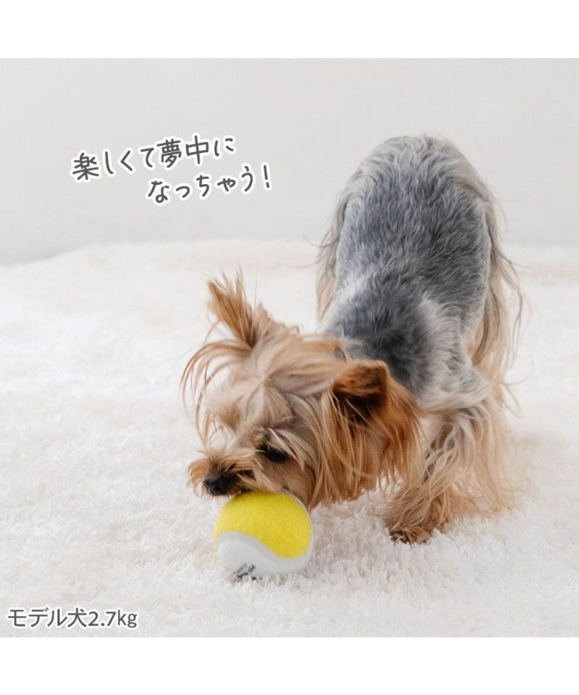 【Pet Paradise】Tennis Ball Toy (Set of 3) <758-42324>