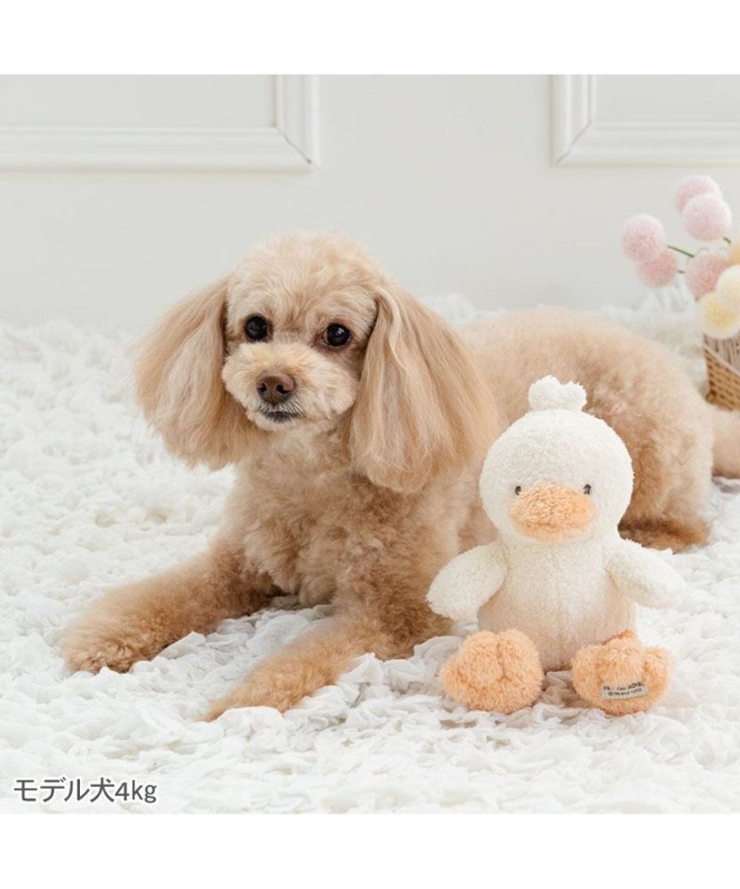 【Pet Paradise】White Duck Toy <361-41398>