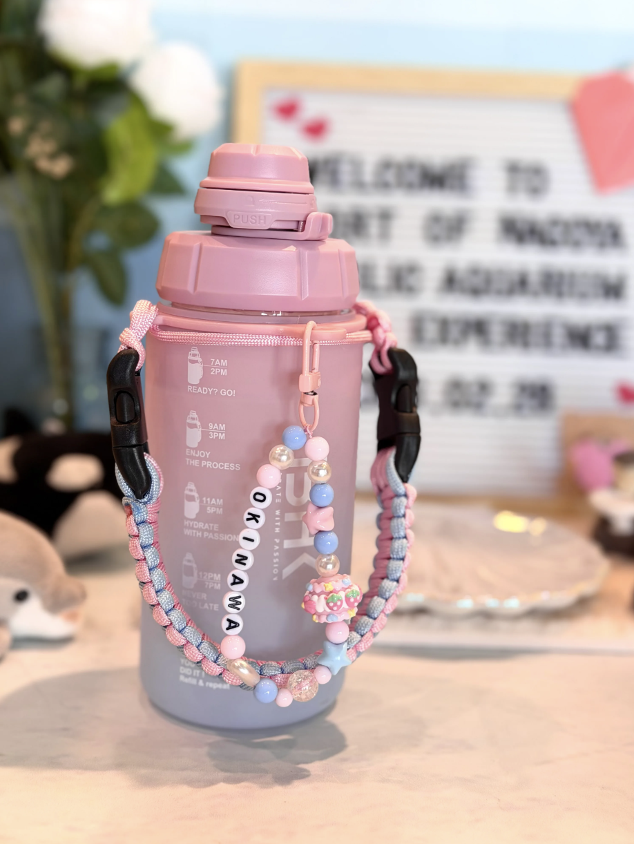 少量現貨丨IBHK IBXS Okinawa 500mL SK ECOZEN 塑膠水樽