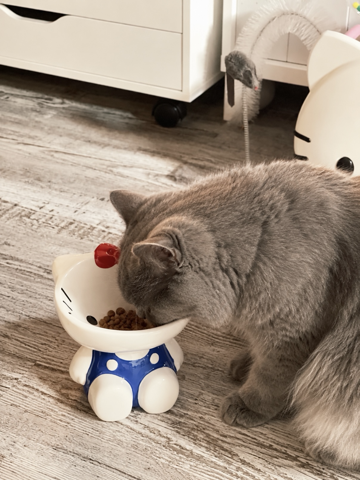 （預購）🇯🇵日本Sanrio 三麗鷗 kitty 帕恰狗 架高 寵物陶瓷碗 貓咪 狗狗