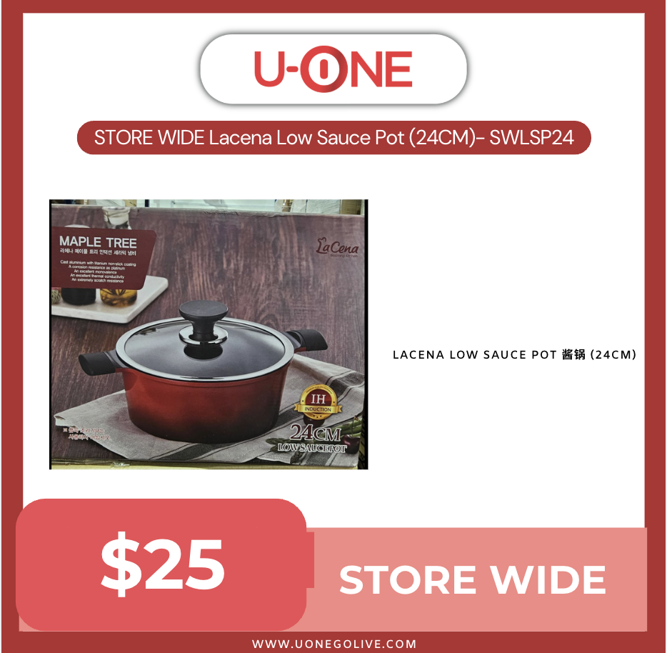 STORE WIDE Lacena Low Sauce Pot (24CM)- SWLLSP24