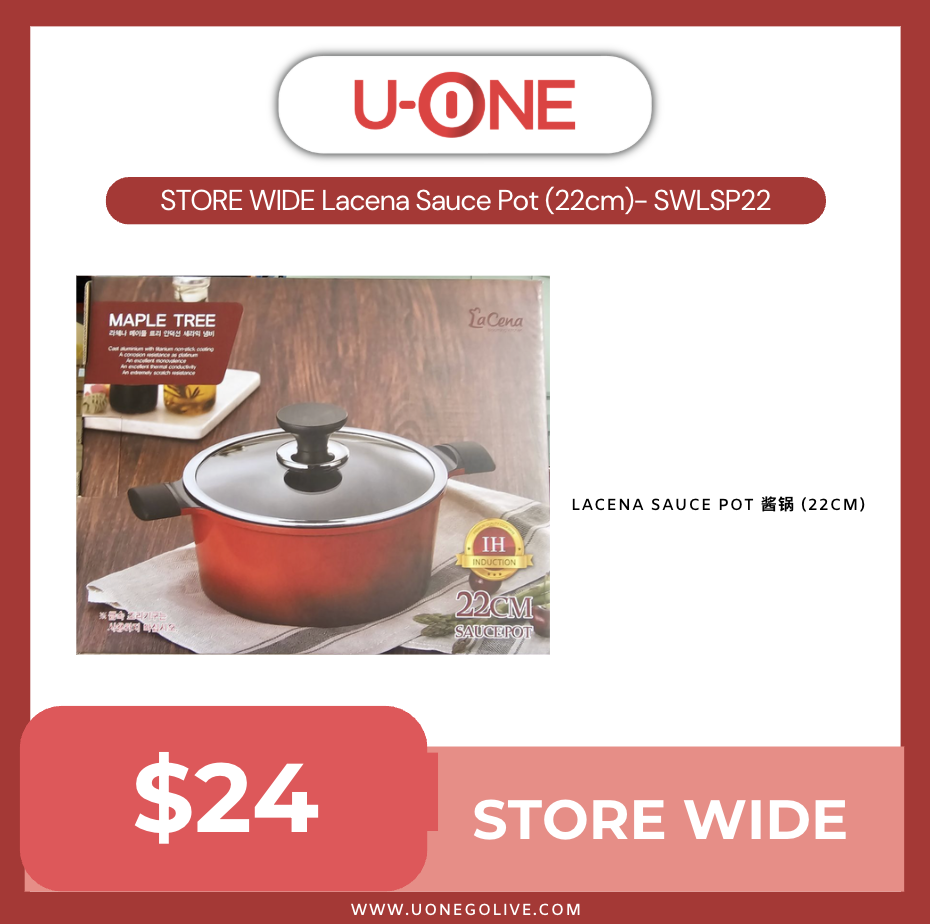 STORE WIDE Lacena Sauce Pot (22cm)- SWLSP22