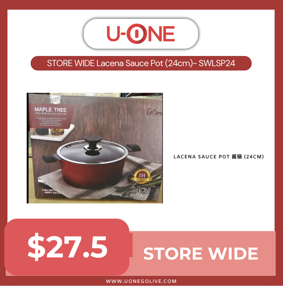 STORE WIDE Lacena Sauce Pot (24cm)- SWLSP24
