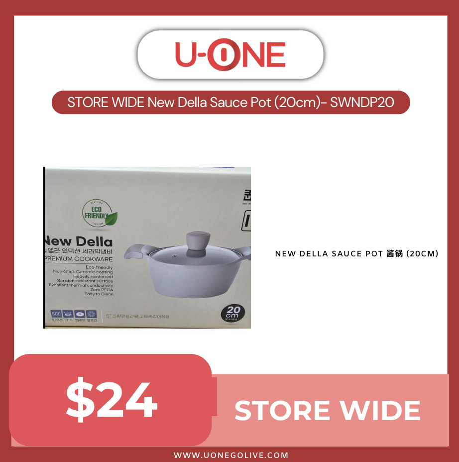 STORE WIDE New Della Sauce Pot (20cm)- SWNDP20