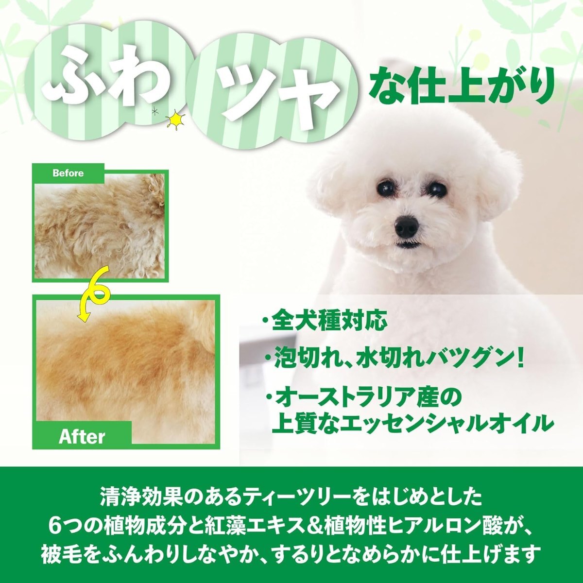 【A.P.D.C.】Tea Tree Shampoo