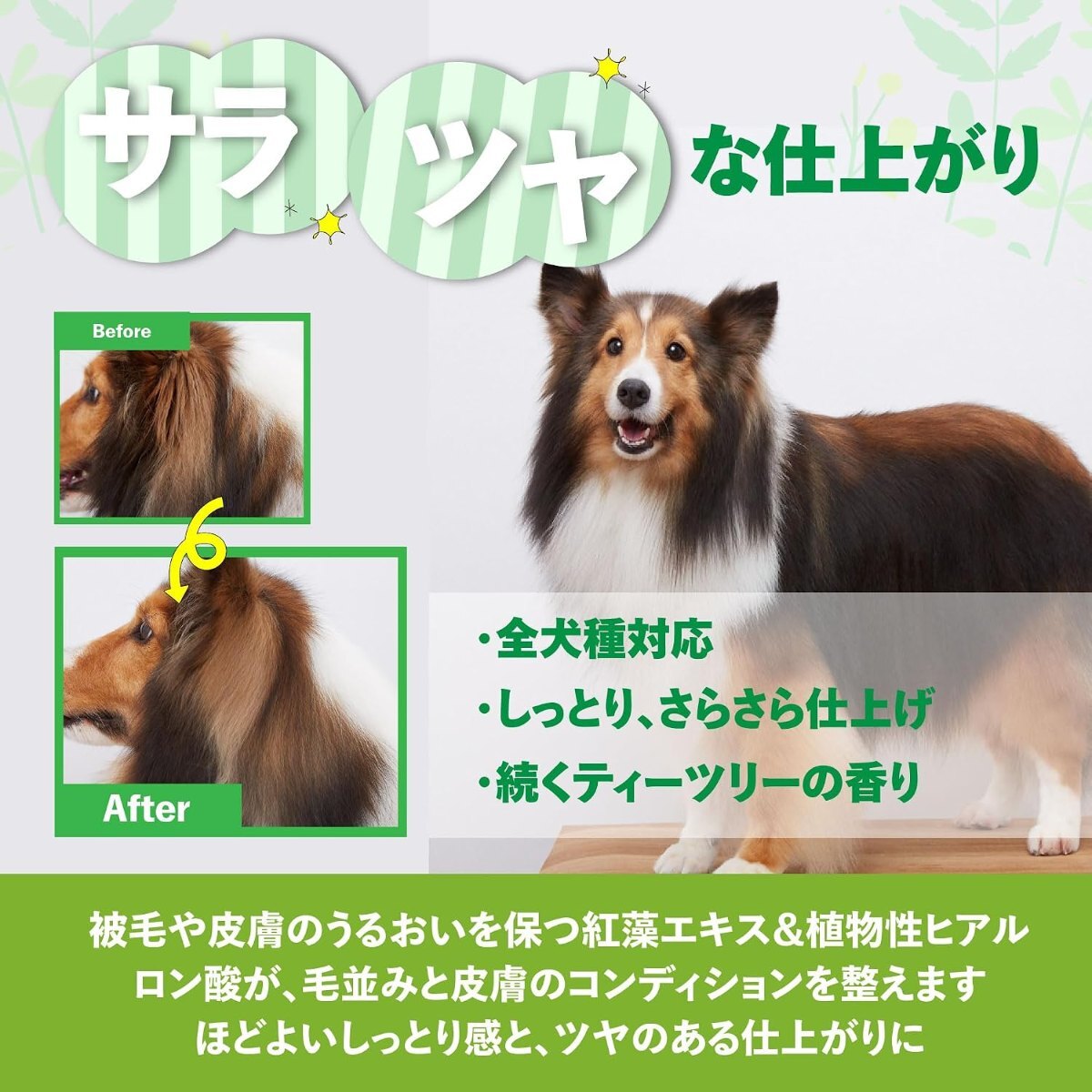 【A.P.D.C.】Tea Tree Conditioner