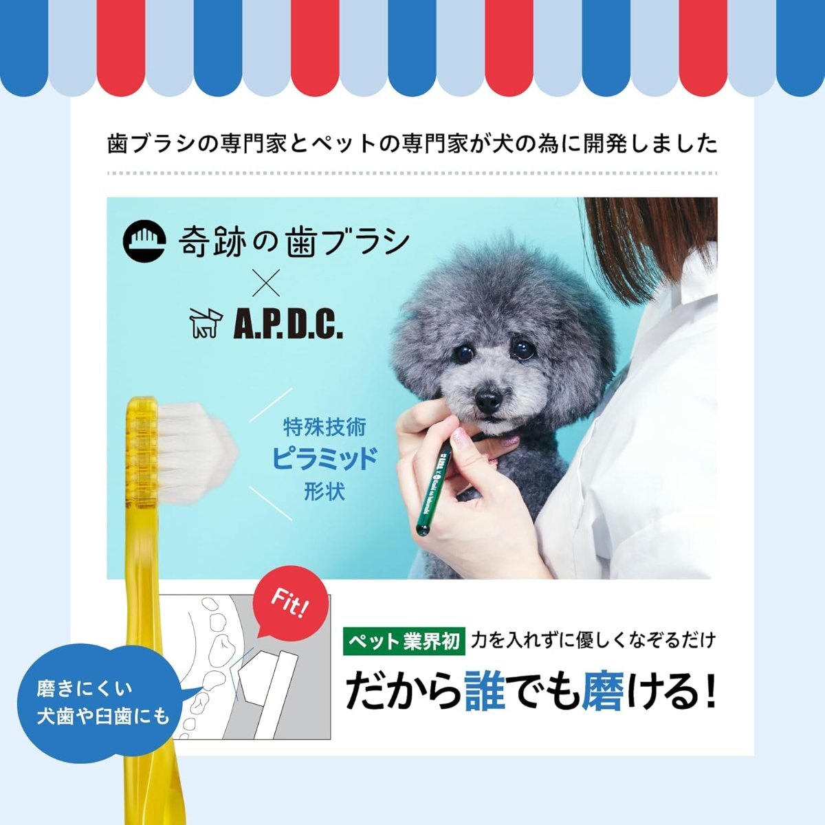 【A.P.D.C.】Miracle Toothbrush for Small Dogs (Soft)