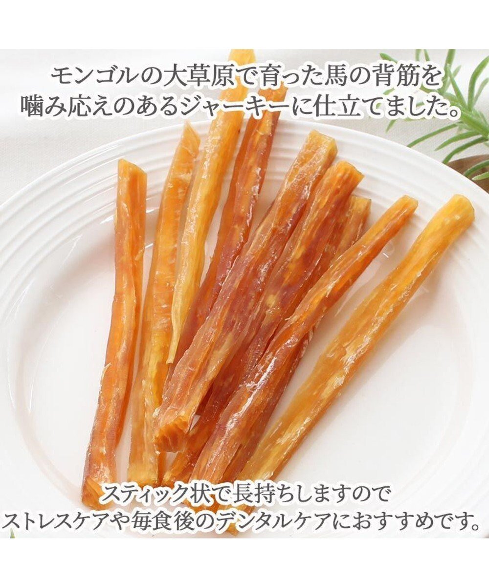 【Pet Paradise】Horseback tendon
