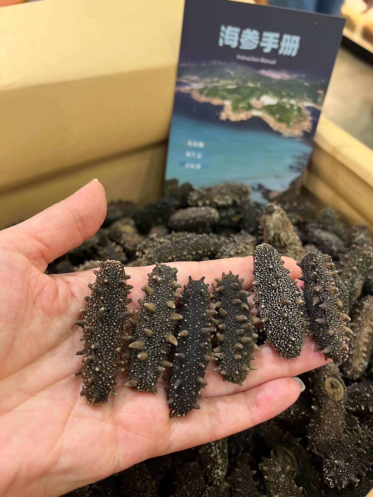 (600克)大連海參A級 70-75 支