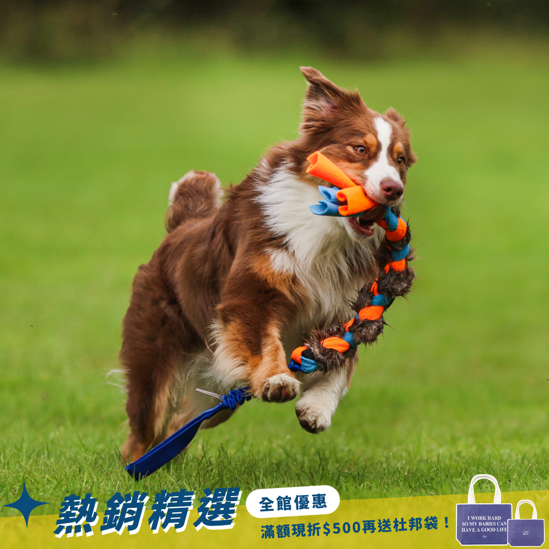 瑞典Doggie-Zen｜彈力海狸毛絨編繩玩具