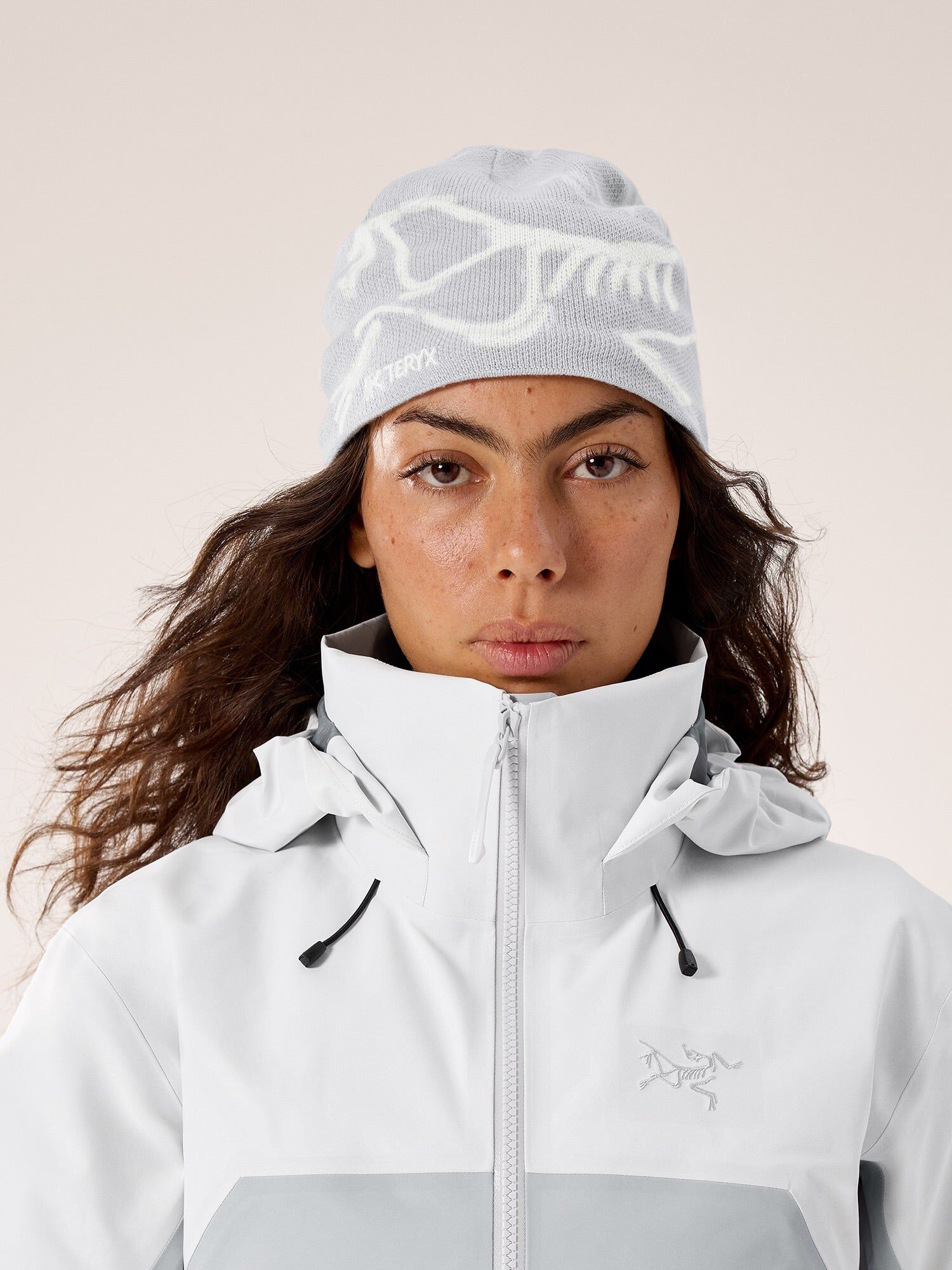 [Arc'teryx] 始祖鳥 Bird Head Toque 毛帽