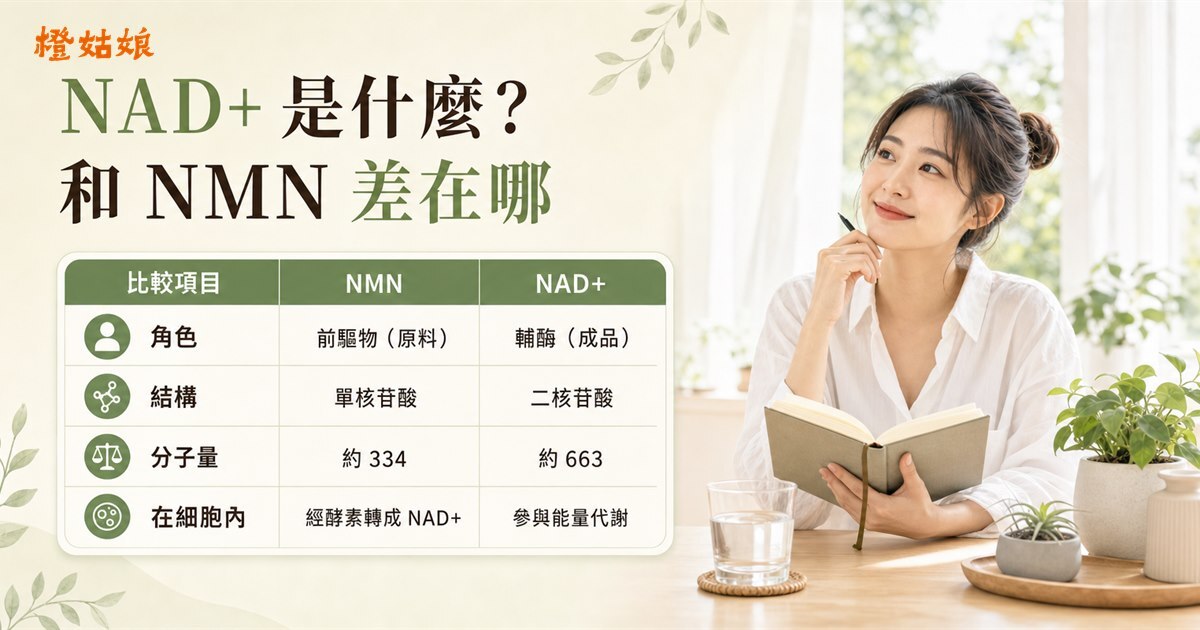 NAD⁺ 是什麼?和 NMN 差在哪