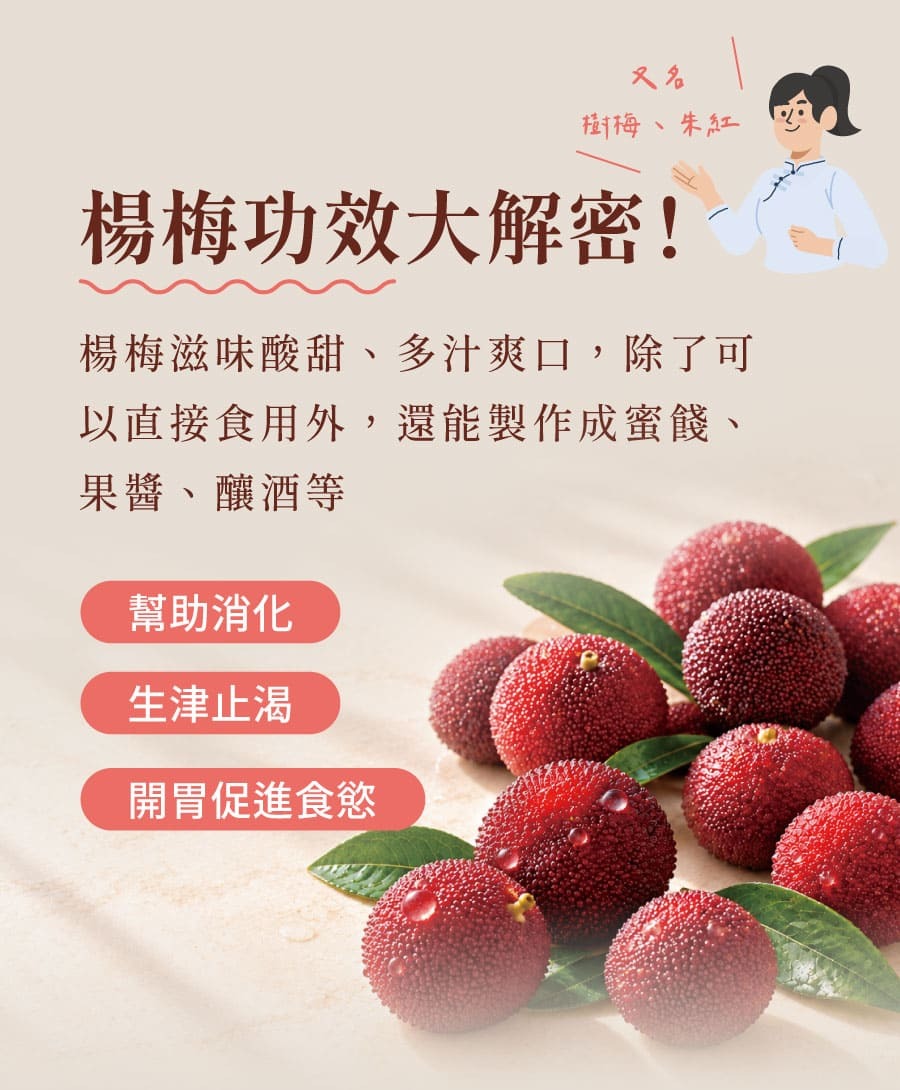 登義蜜糖小紅莓原料楊梅介紹