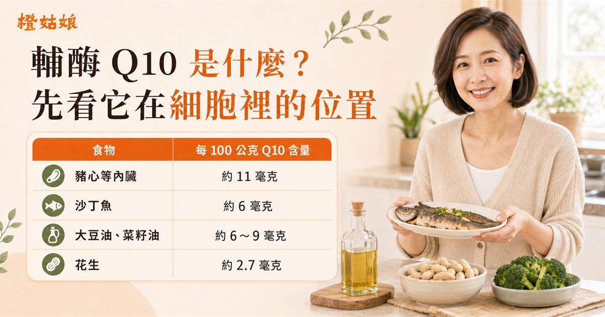 輔酶 Q10細胞