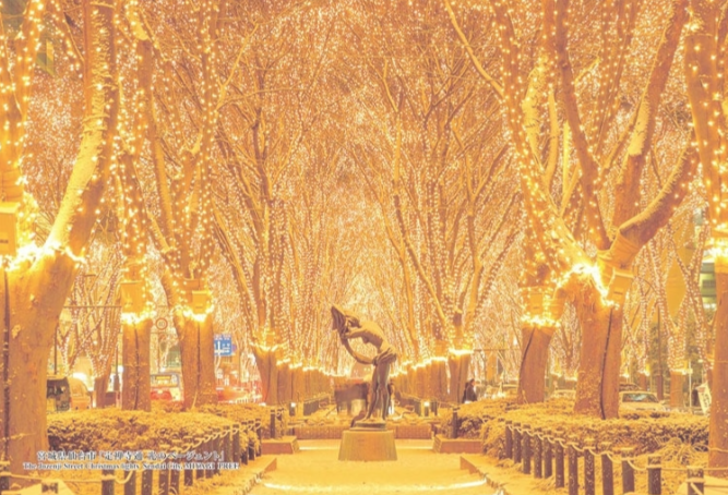 Jozenji-dori Light Pageant ( Sendai City )