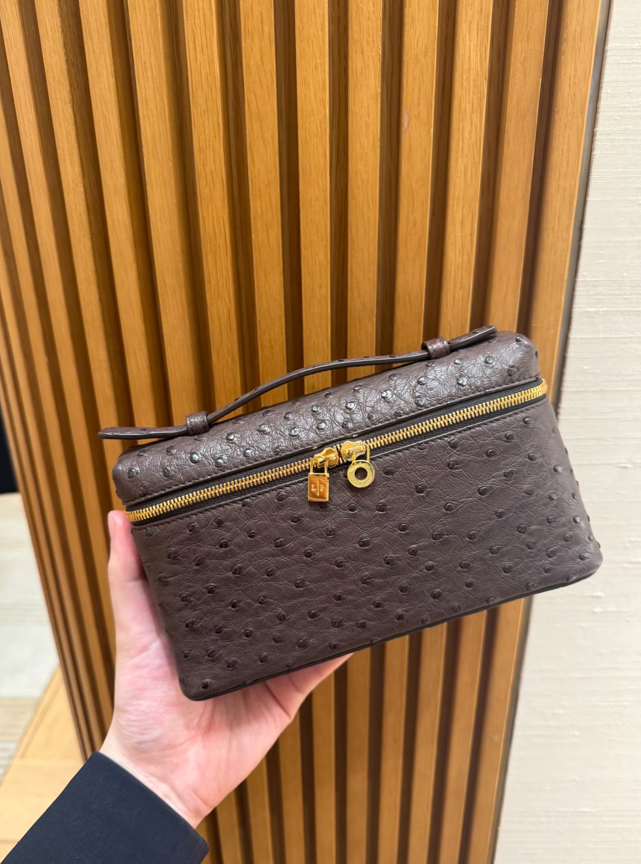 Loro Piana Extra Pocket L19 朱古力色鴕鳥皮金扣飯盒袋手袋
