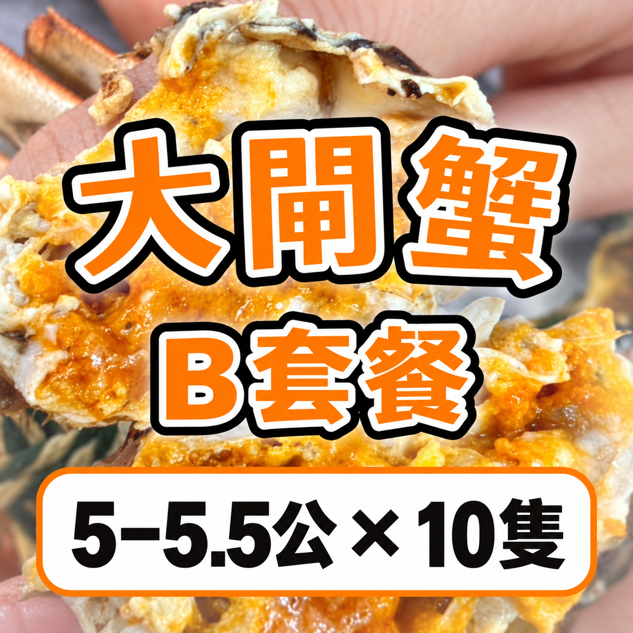 FE022 大閘蟹 B 套餐 5–5.5公 × 10隻