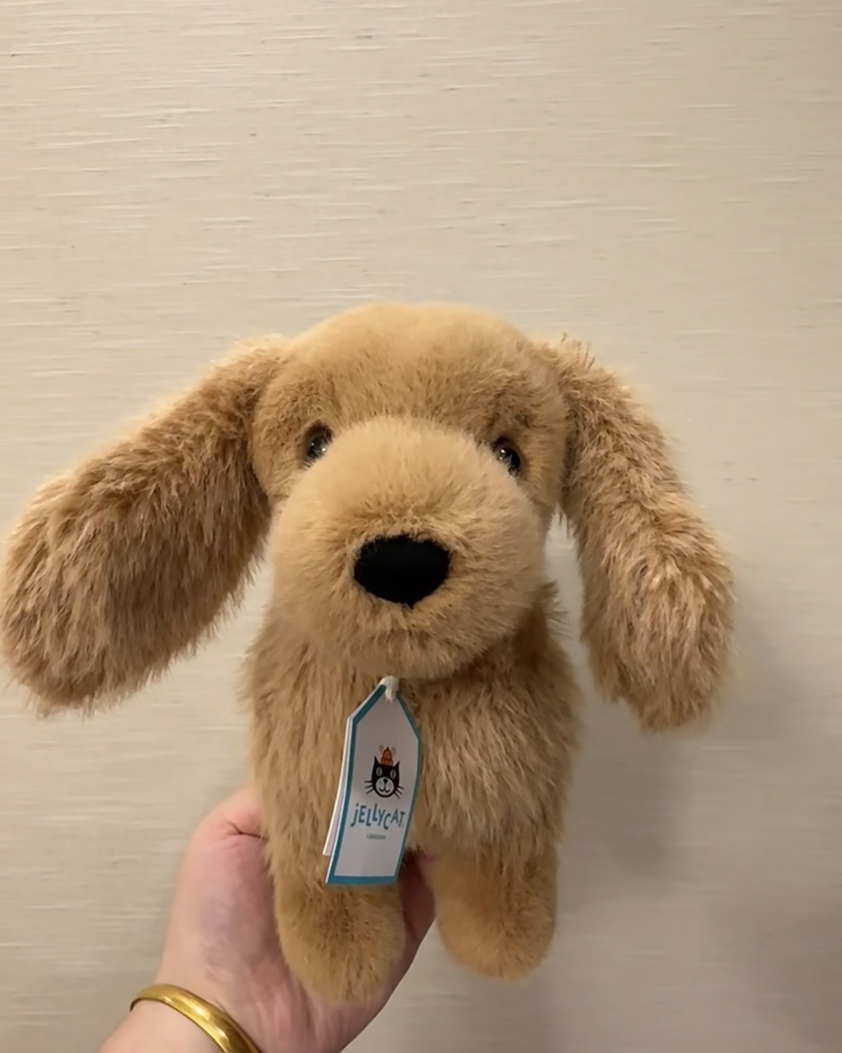 Jellycat 柏林限定 臘腸犬 毛絨玩具 毛絨 娃娃 玩偶