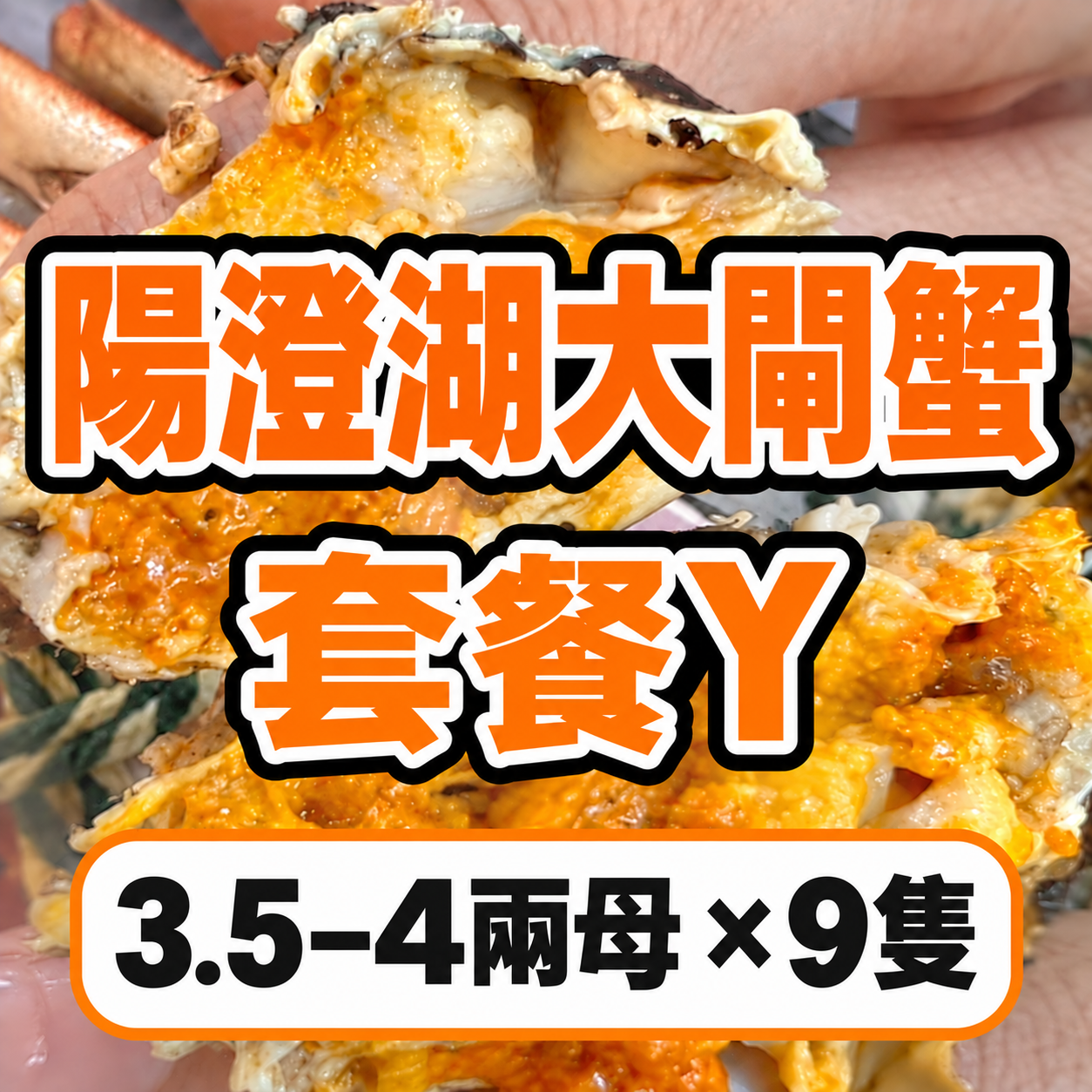 FE028 陽澄湖大閘蟹 套餐Y 3.5–4兩母 × 9隻