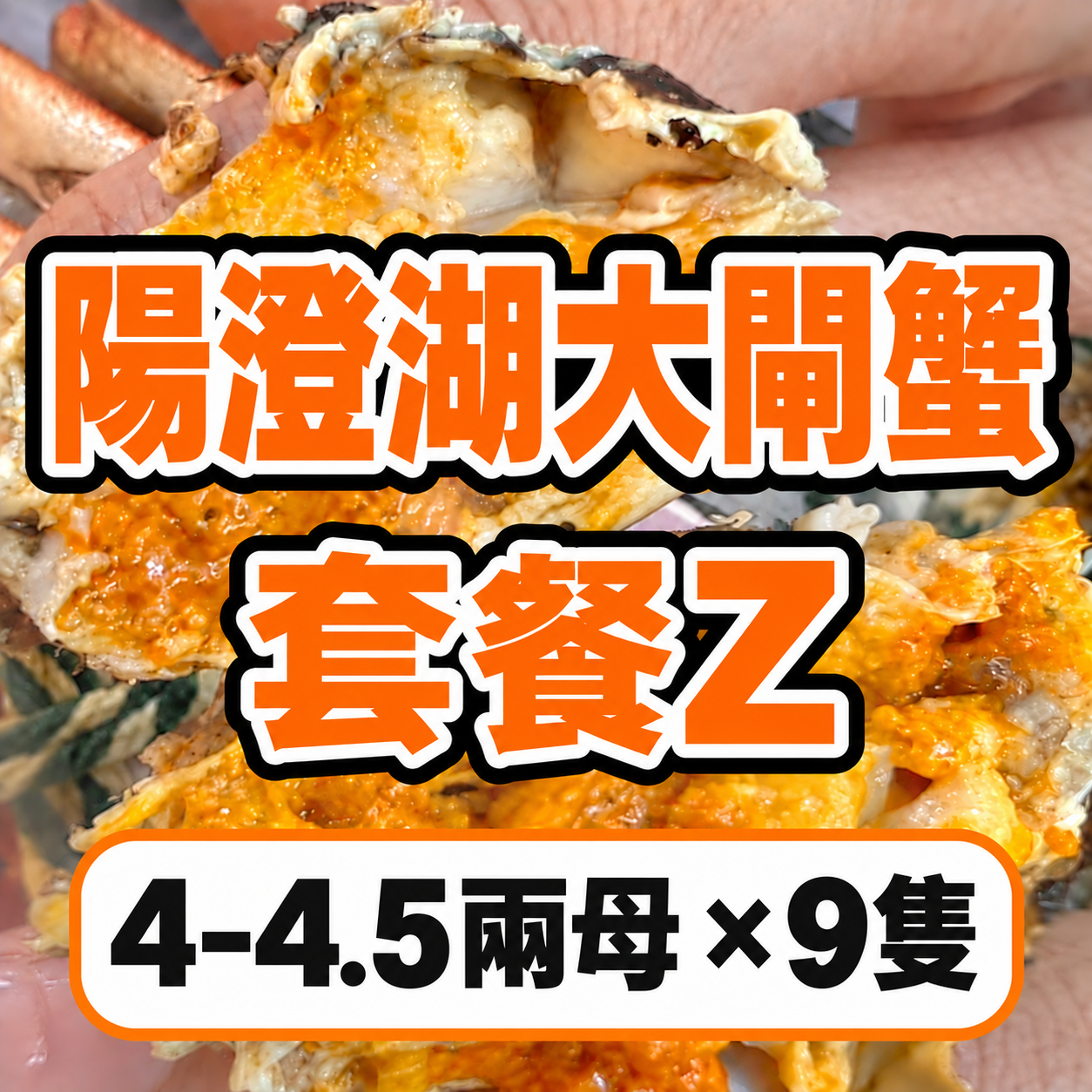 FE029 陽澄湖大閘蟹 套餐Z 4–4.5兩母 × 9隻