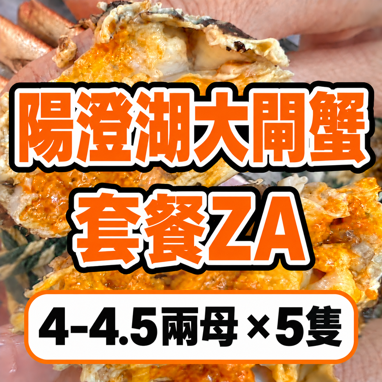 FE031 陽澄湖大閘蟹 套餐ZA 4–4.5兩母 × 5隻