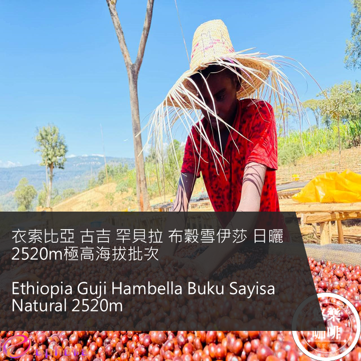Ethiopia Guji Hambella Buku Sayisa Natural 2520m