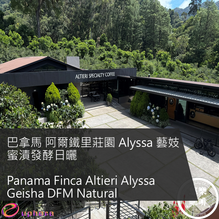 巴拿馬 阿爾鐵里莊園 Alyssa 藝妓 蜜漬發酵日曬 悠樂獨家批次