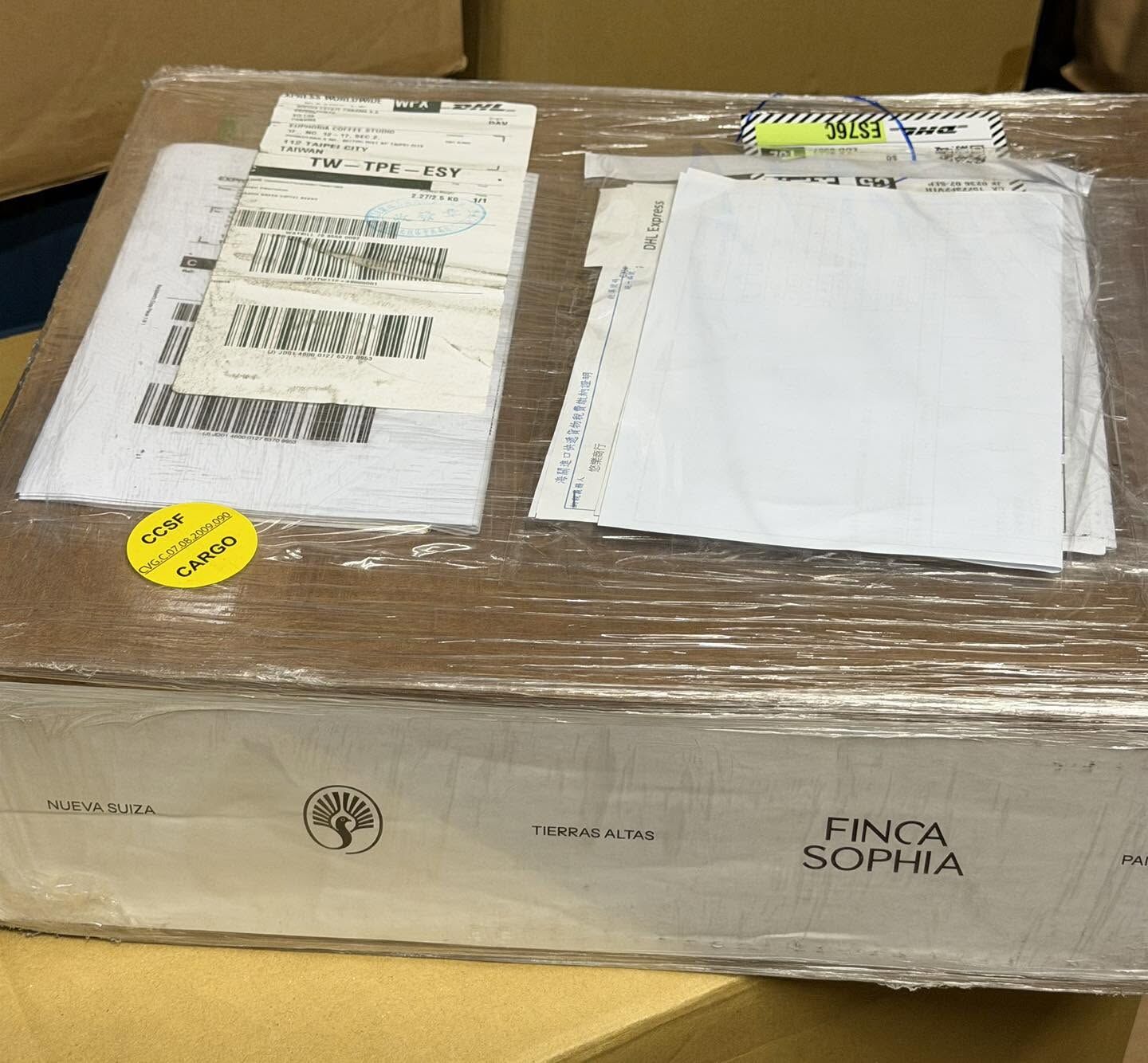 Panama Finca Sophia Colibri-Poro Geisha Natural 2026 Auction Lot HN4