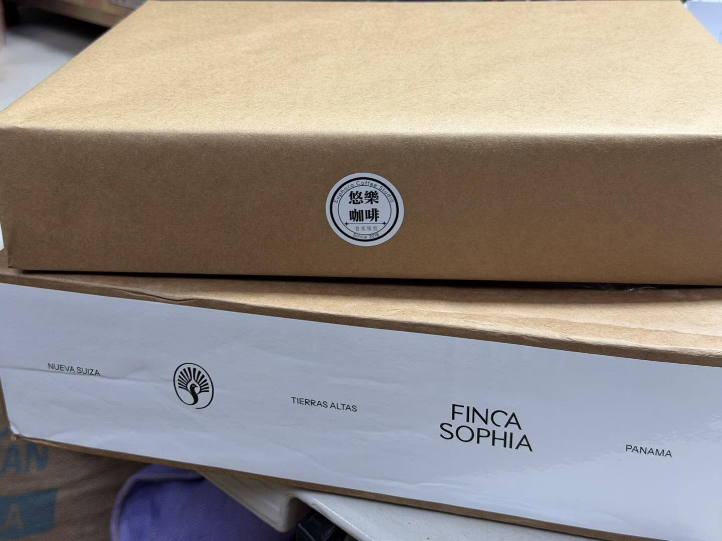 Panama Finca Sophia Colibri-Poro Geisha Natural 2026 Auction Lot HN4
