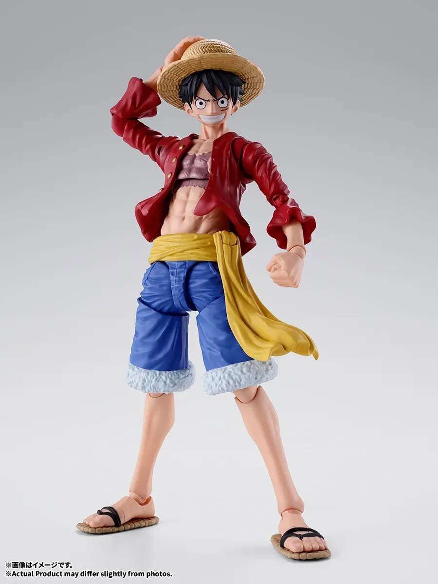 「ACG.GO」「預購」S.H.Figuarts《海賊王》路飛 -新世界-／霸氣配件包