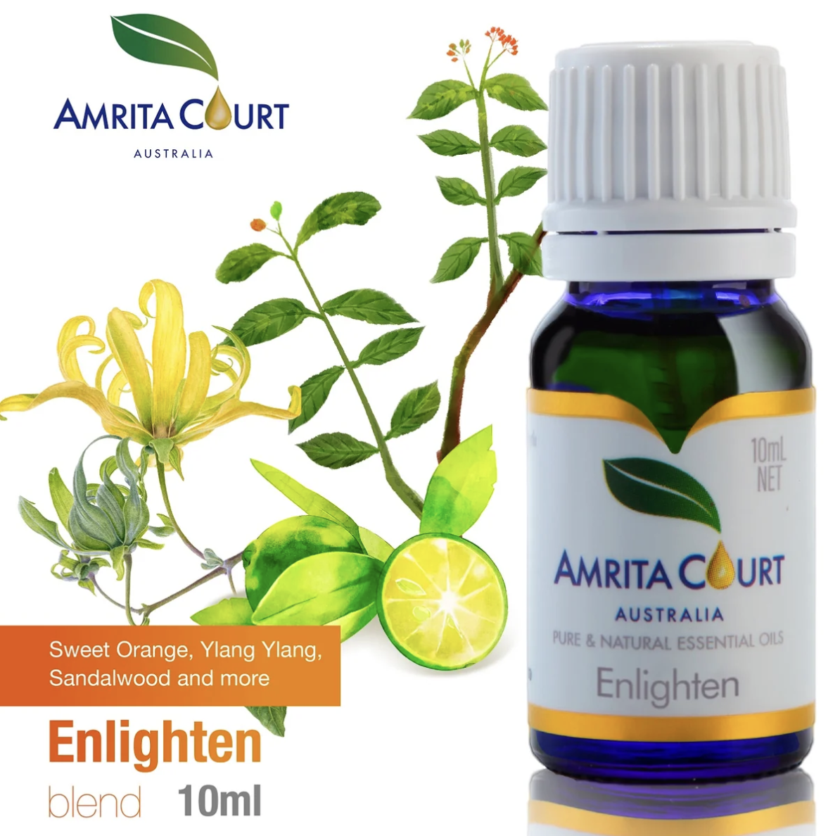 1003AU09-AUS-AC-複方精油 10ml [買2件$338 ] (B9 啟迪)