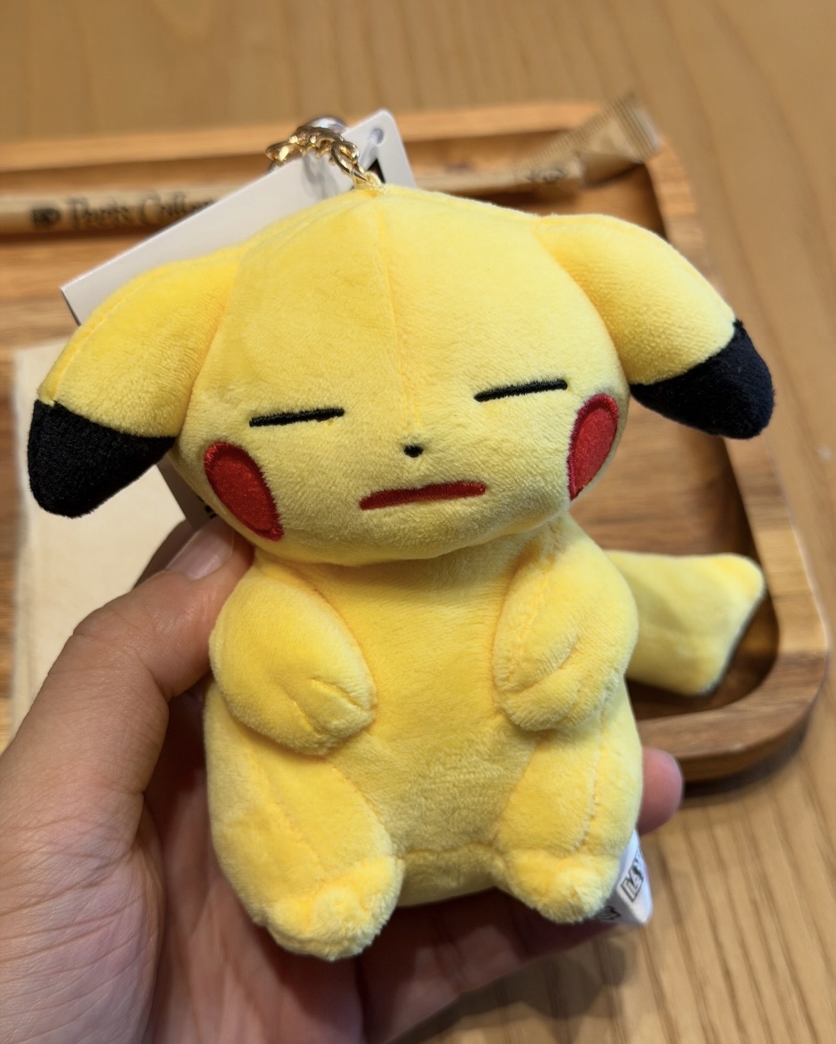 官方正版 Pokémon 寶可夢 30周年 紀念系列 皮卡丘 毛絨 吊飾 30款
