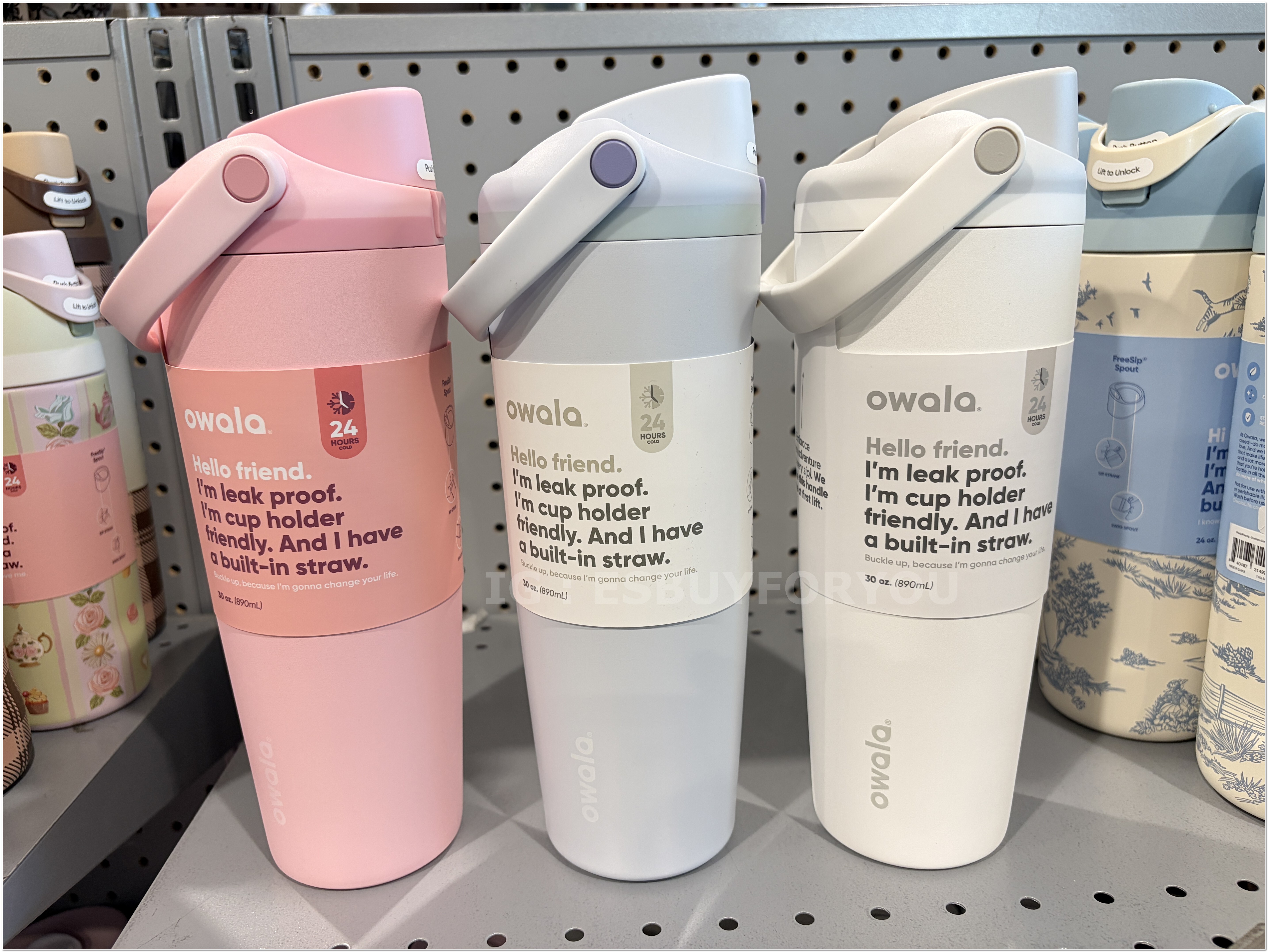 Owala(890ml 30oz) 手提款 不鏽鋼 Sway FreeSip 水壺 (內有吸管) (4色)