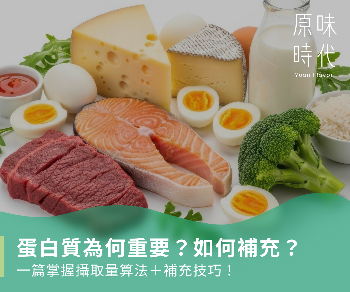 蛋白質為何重要?如何補充?一篇掌握攝取量算法+補充技巧!