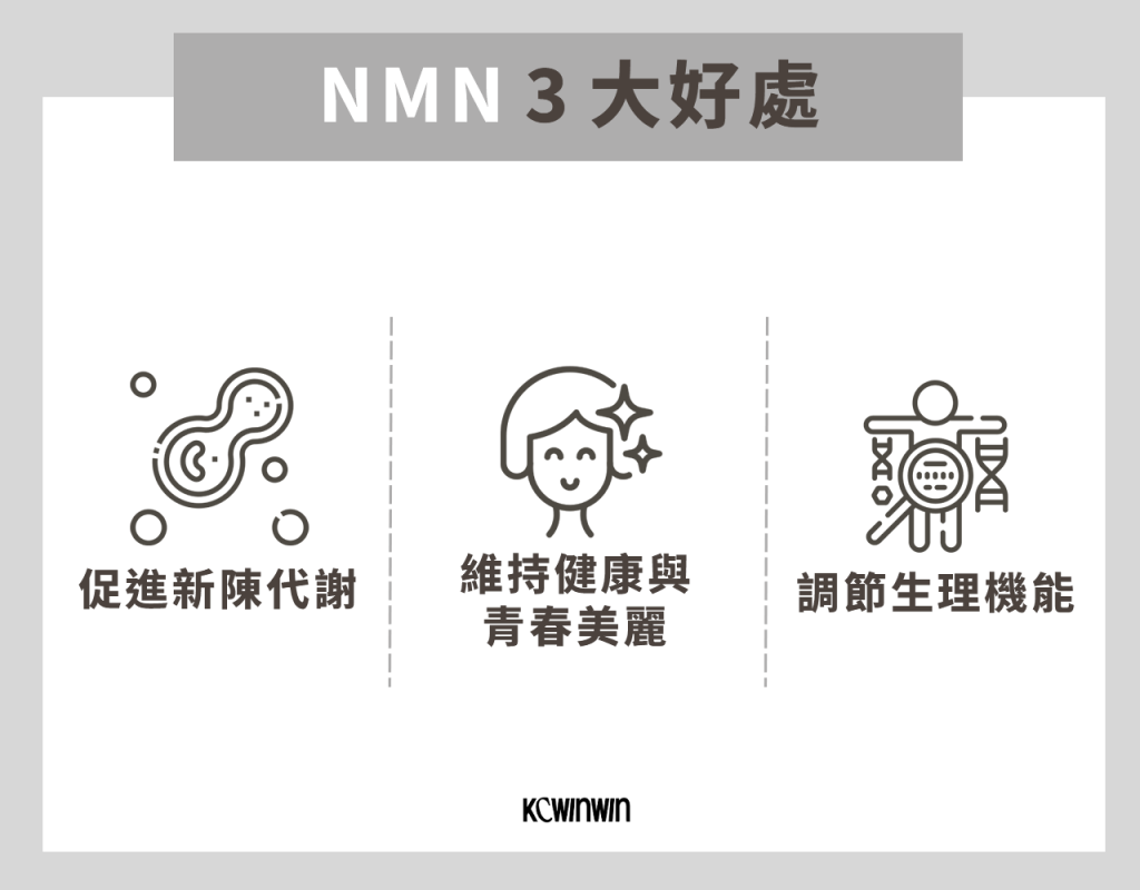 NMN的3大好處