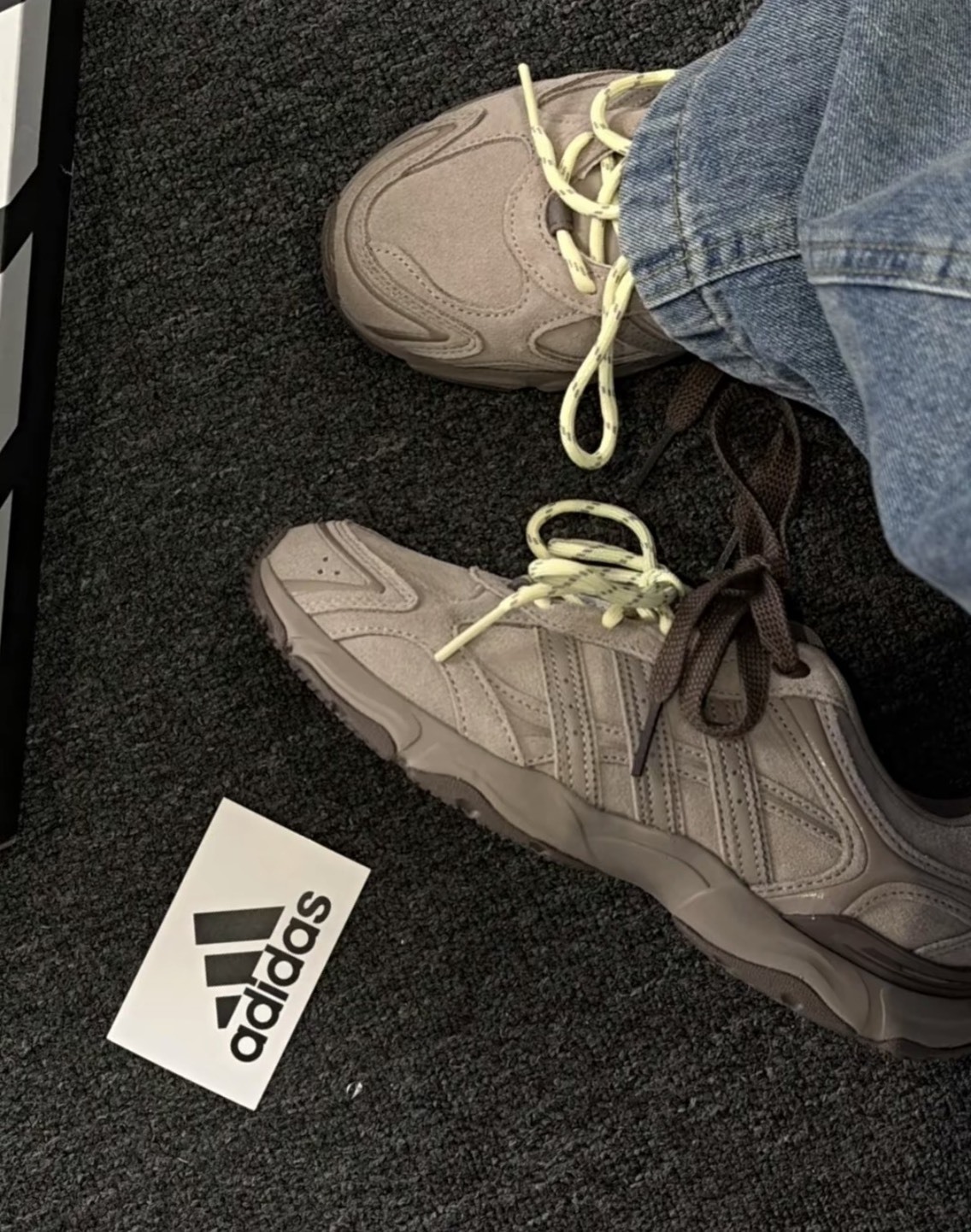 <阿迪美拉德🤎>adidas WHISPER GLIDE 運動鞋 咖色