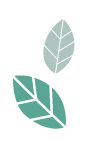飄動葉子