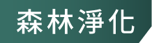 森林淨化
